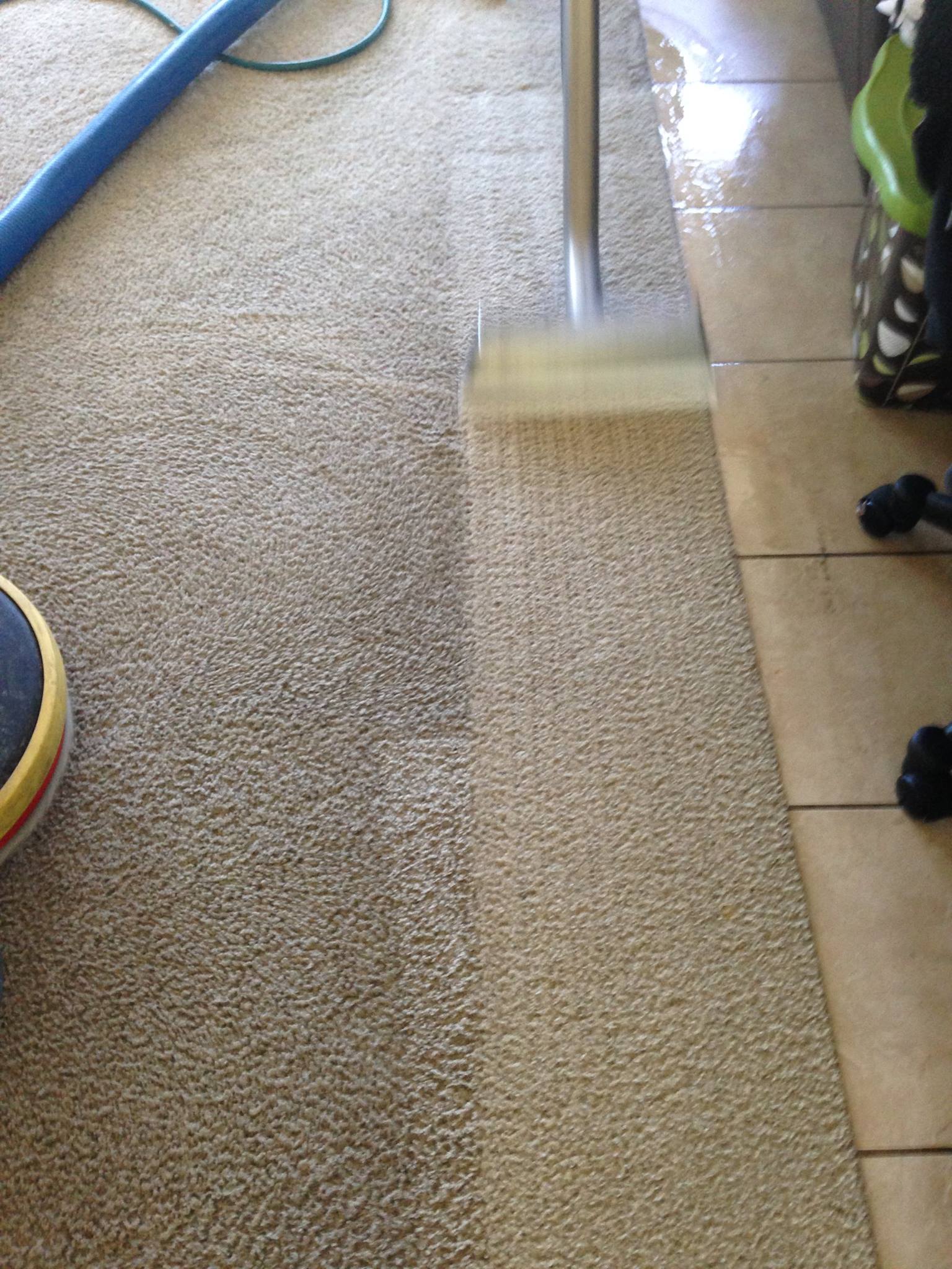 Professional Carpet Cleaning Services - Carpet cleaning Houston