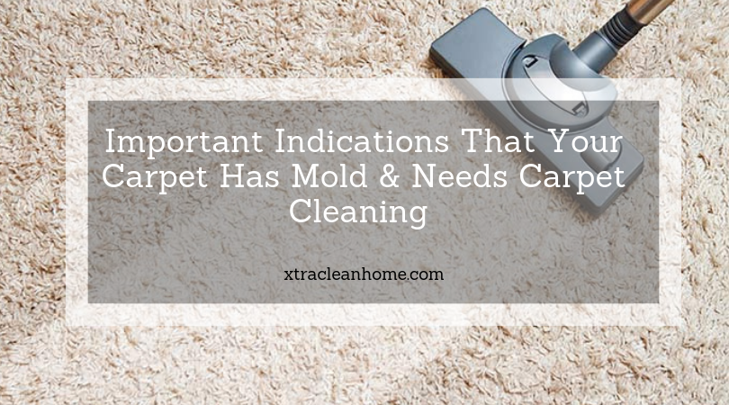 Indications That Your Carpet Has Mold