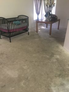 xtraordinary carpet care