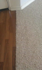 Carpet Cleaning