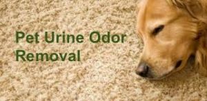 pet odor removal temecula