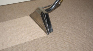 carpet cleaning service