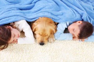 carpet cleaning temecula