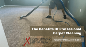 The Benefits Of Professional Carpet Cleaning