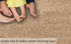 professional carpet cleaning