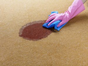 portable cleaning machines