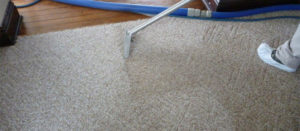carpet cleaning tips
