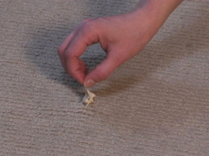 carpet stains