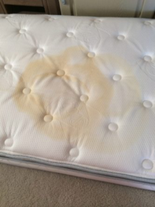 clean upholstery