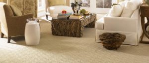 best carpet cleaning companies temecula