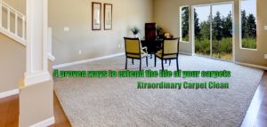 carpets