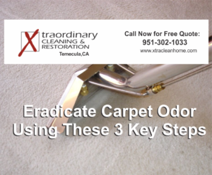 carpet odor