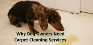 carpet cleaning services