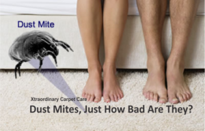 deep carpet cleaning temecula