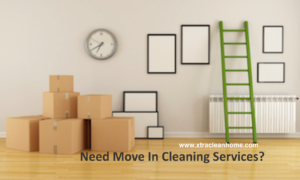 move in cleaning service