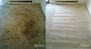 carpet cleaning menifee