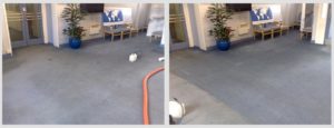 carpet cleaning winchester