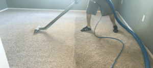 carpet cleaning