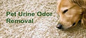 pet odor removal Temecula