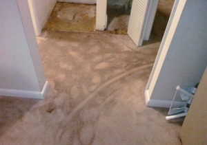 Water-Damage Restoration Winchester
