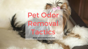 Pet Odor Removal Tactics