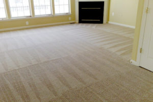 professional carpet cleaners temecula