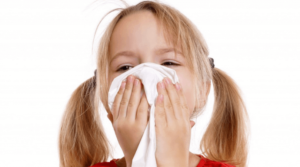 Best Carpet Cleaning Methods For Allergies