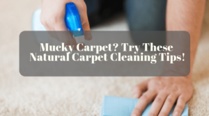 Mucky Carpet_ Try These Natural Carpet Cleaning Tips