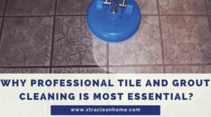 Tile and Grout Cleaning