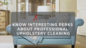 professional upholstery cleaning