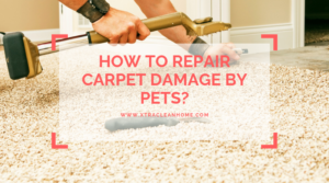 Carpet Damage Repair
