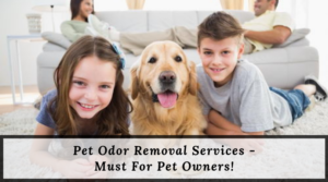 Pet Odor Removal Services - Must For Pet Owners!