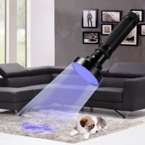 detect dog urine stain usine black light