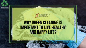 Why Green Cleaning is Important to Live Healthy and Happy Life
