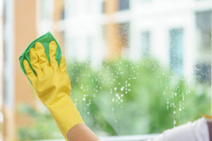 Green Window Cleaning
