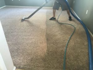 Professional Carpet Cleaning Xtraordianry