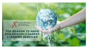 Top Reason to Have Eco-Friendly Carpet Cleaning Services
