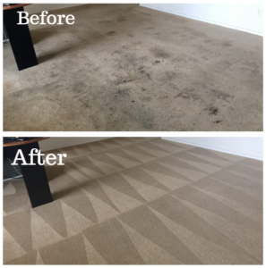xtraordinary carpet cleaning