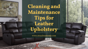 Cleaning and Maintenance Tips for Leather Upholstery