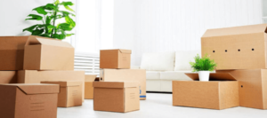 move in out cleaning