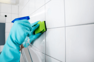 green cleaning