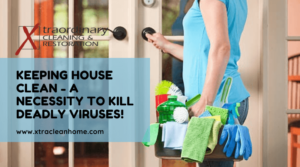 Keeping House Clean - A Necessity To Kill Deadly Viruses